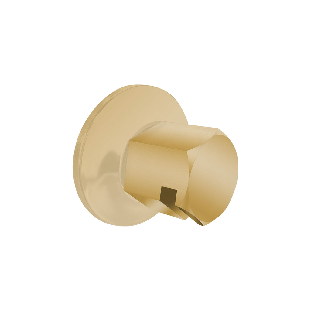 ThermaSol Traditional 3/4" Style Steam Head in Polished Brass Finish Polished Brass ThermaSol tss-pb.jpg