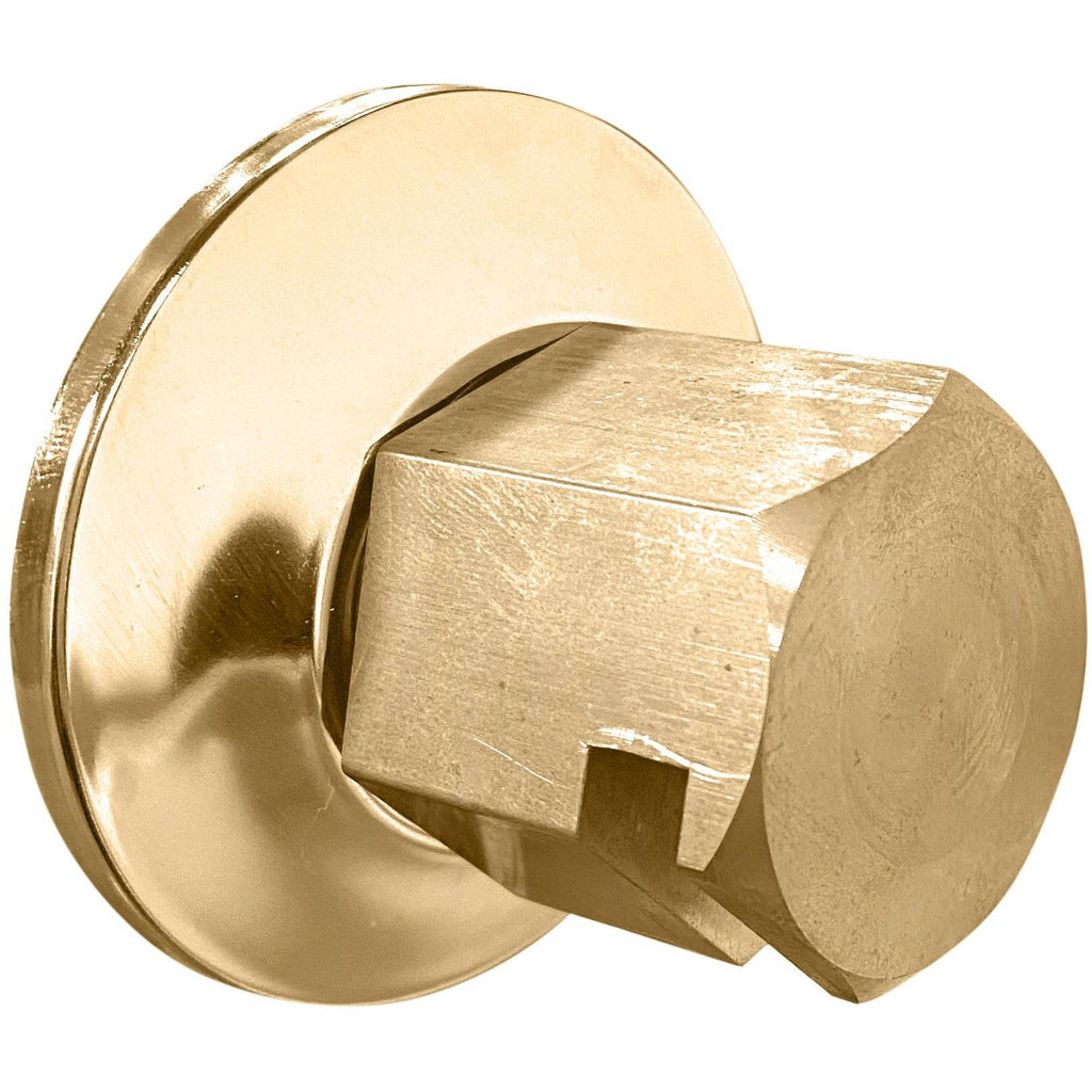ThermaSol Traditional 3/4" Style Steam Head in Satin Brass Finish Satin Brass ThermaSol tss-sb.jpg