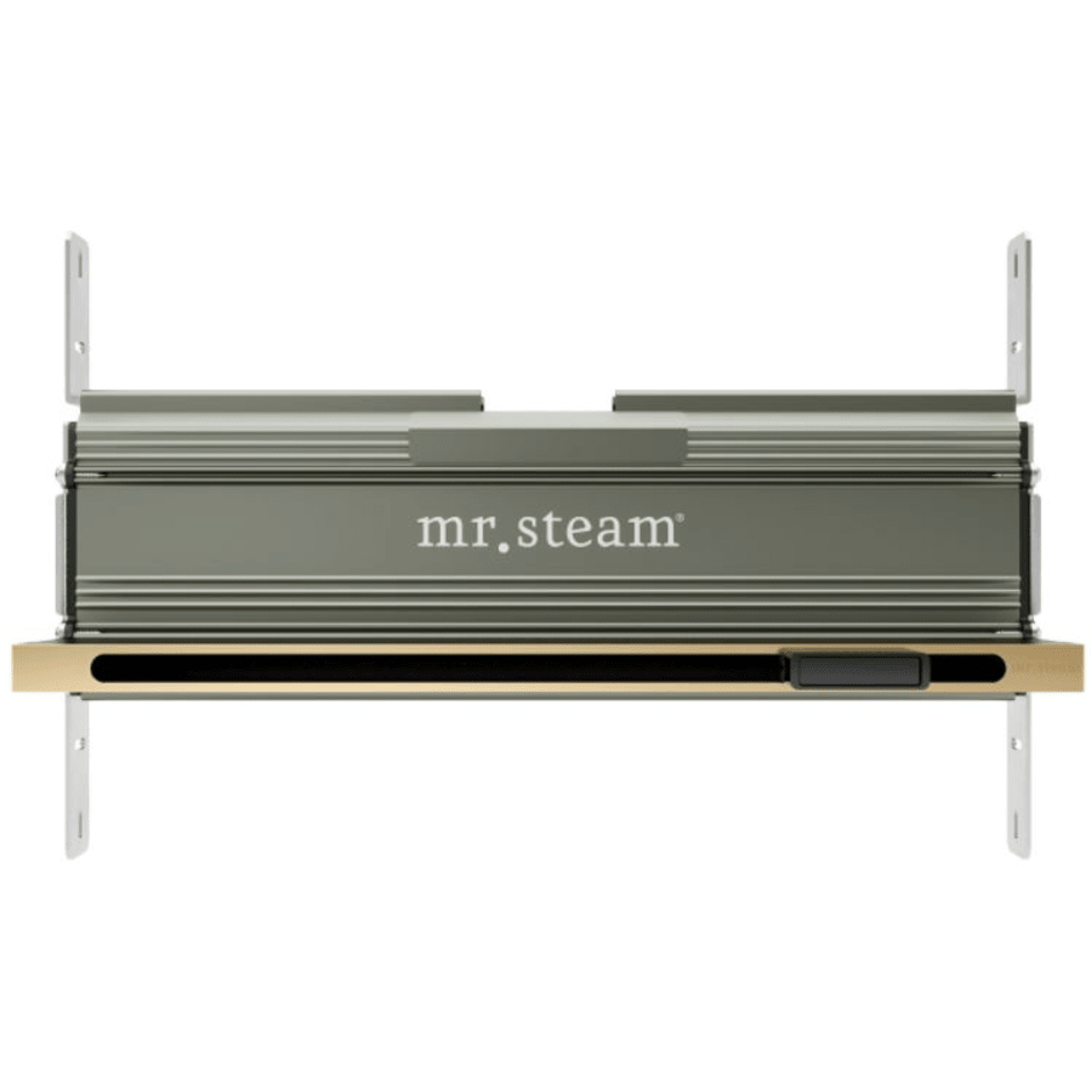 The Steam Store, Steam Showers, Steam Generators Online, Mr Steam